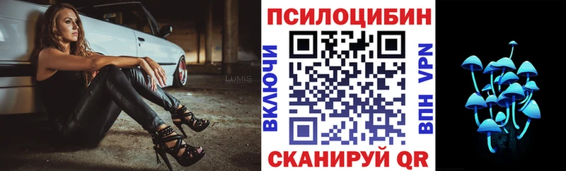 blacksprut как зайти Железногорск Галлюциногенные грибы Psilocybe