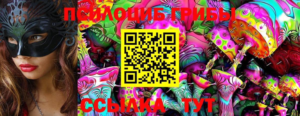 Железногорск  что такое наркотик  Галлюциногенные грибы MAGIC MUSHROOMS  Вход с VPN  Галлюциногенные грибы Psilocybe 
